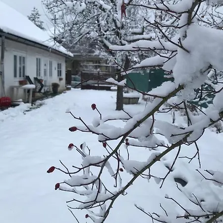 Konukevi Casuta Sanatatii