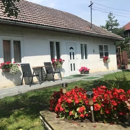 Casuta Sanatatii 2*