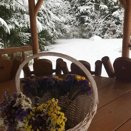Casuta Sanatatii Konukevi